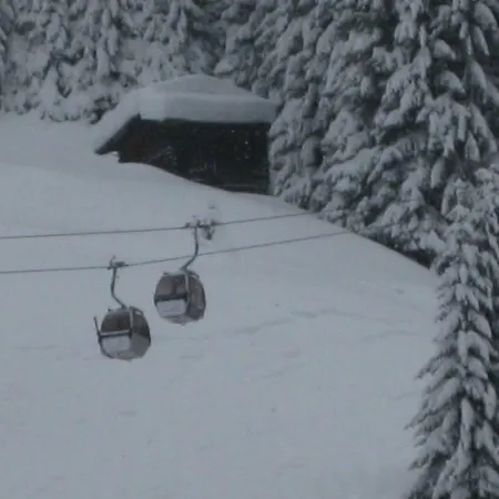 Apartmenthaus Immler