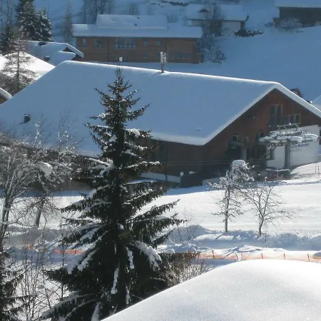 Aparthotel Apartmenthaus Immler Gaschurn